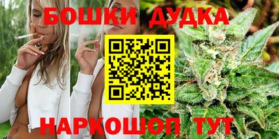 круглые Кингисепп