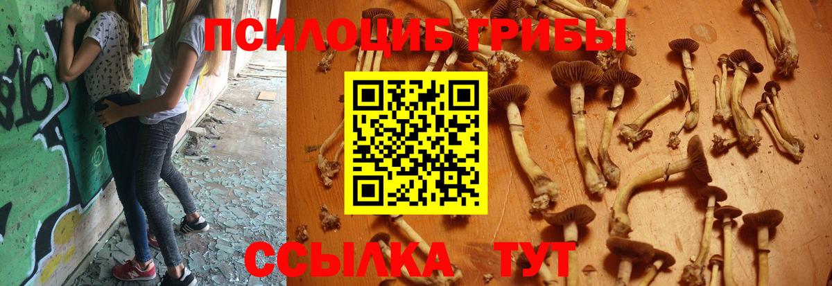 Галлюциногенные грибы ЛСД Кимры